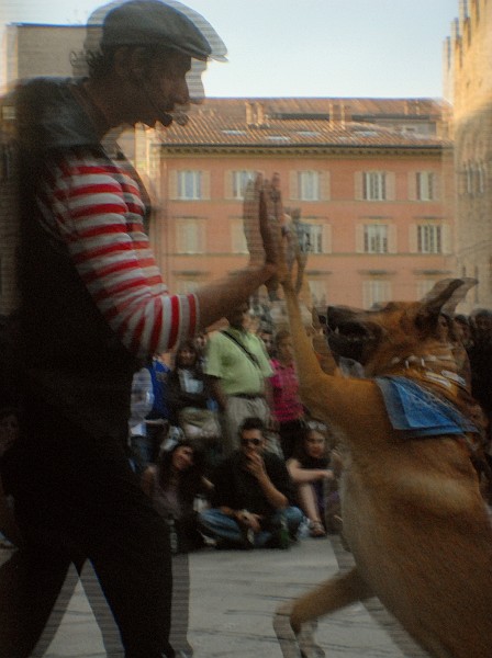 Qua la zampa - Foto 3D :: Buskers Pirata Bologna 2010