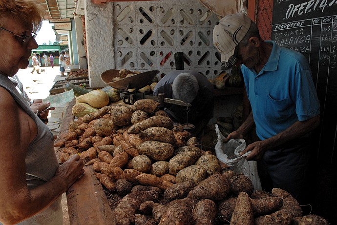 Patate - Fotografia di Camaguey - Cuba 2010