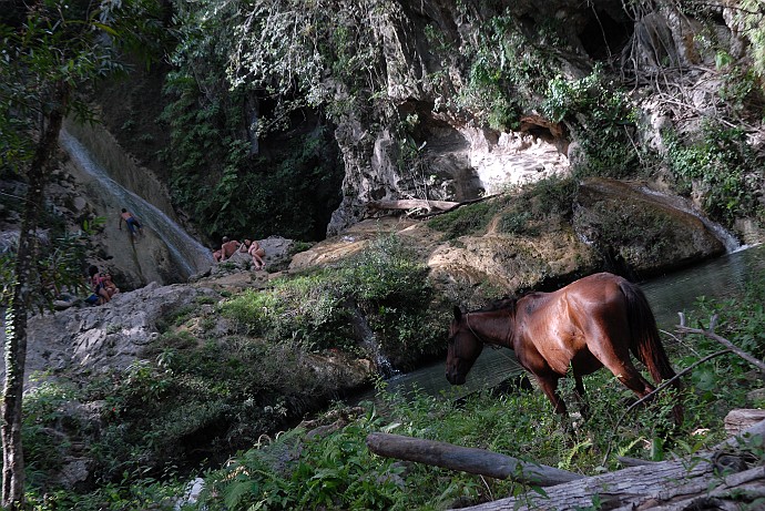 Cavallo - Fotografia di Trinidad - Cuba 2010