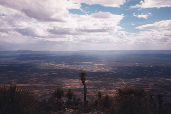 Deserto Real de Catorce - Fotografia del Messico