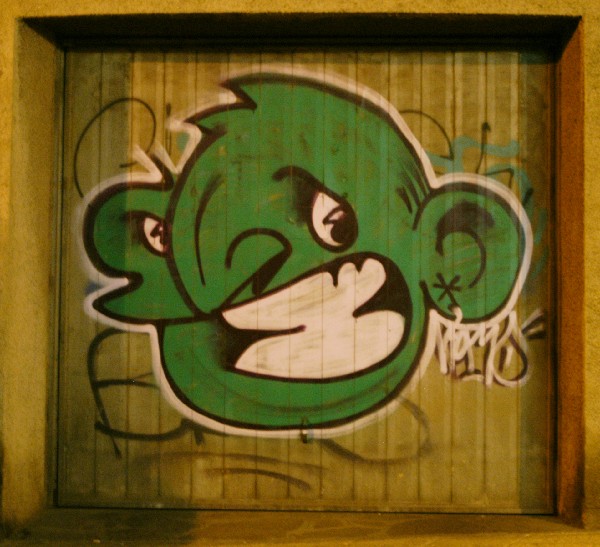 Ritratto verde - Murales di Bologna